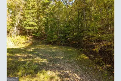 3.14 Ac Hot House Drive, Mineral Bluff, GA 30559 - Photo 18
