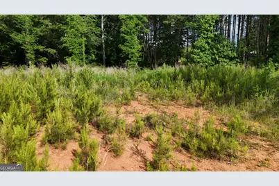 1 Parker Drive Parker Drive, Statham, GA 30666 - Photo 14