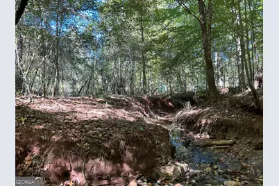 00 Hwy 36 #7, Woodland, GA 31836 - Photo 6