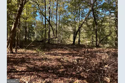 00 Hwy 36 #7, Woodland, GA 31836 - Photo 8