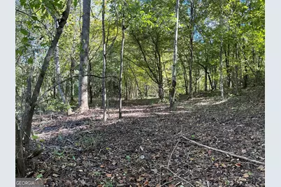 00 Hwy 36 #7, Woodland, GA 31836 - Photo 12