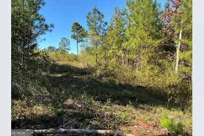 00 Hwy 36 #7, Woodland, GA 31836 - Photo 14