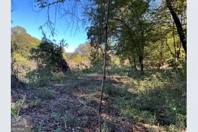 00 Hwy 36 #8, Woodland, GA 31836 - Photo 6