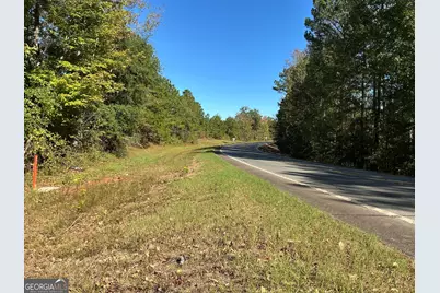 00 Hwy 36 #8, Woodland, GA 31836 - Photo 12