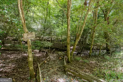 363 Weeks Creek Road, Blue Ridge, GA 30513 - Photo 124