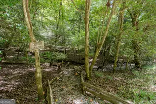 363 Weeks Creek Rd, Blue Ridge, GA 30513 - Photo 124