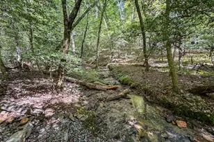 363 Weeks Creek Rd, Blue Ridge, GA 30513 - Photo 130