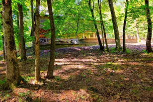 363 Weeks Creek Rd, Blue Ridge, GA 30513 - Photo 18