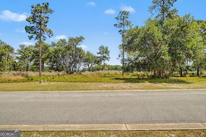 Lot 24 Blue Heron Trail, Waverly, GA 31565 - Photo 44