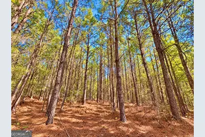 475 Holloway-Ray Road, Mcintyre, GA 31054 - Photo 48