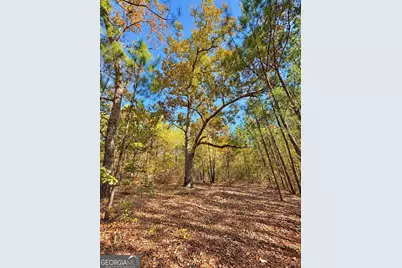 475 Holloway-Ray Road, Mcintyre, GA 31054 - Photo 20