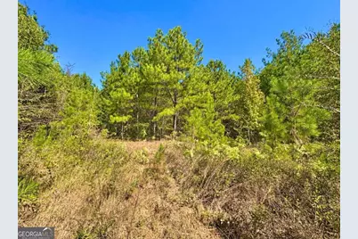 475 Holloway-Ray Road, Mcintyre, GA 31054 - Photo 6