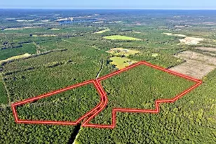 475 Holloway-Ray Rd, Mcintyre, GA 31054 - Photo 1