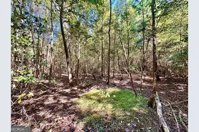 475 Holloway-Ray Road, Mcintyre, GA 31054 - Photo 62