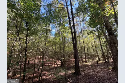 12 Hollis Norman Road, Tignall, GA 30668 - Photo 32