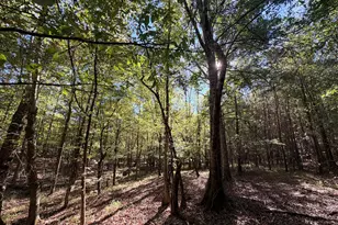12 Hollis Norman Rd, Tignall, GA 30668 - Photo 1