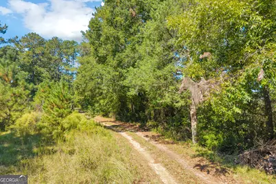 5083 Danburg Road, Tignall, GA 30668 - Photo 16