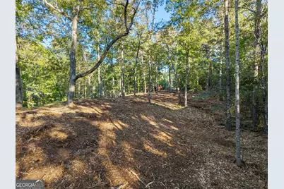 0 Old Cherokee Road, Cleveland, GA 30528 - Photo 20