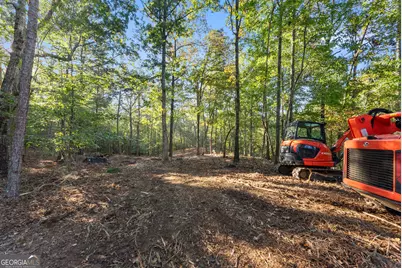0 Old Cherokee Road, Cleveland, GA 30528 - Photo 24