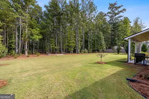 69 Ryeland Dr, Senoia, GA 30276 - Photo 60