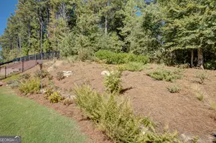 320 Southridge, Senoia, GA 30276 - Photo 46