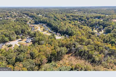 1195 Otis Drive, Bethlehem, GA 30620 - Photo 8