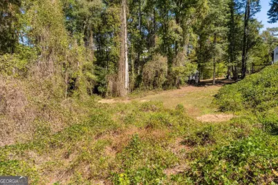 1195 Otis Drive, Bethlehem, GA 30620 - Photo 10
