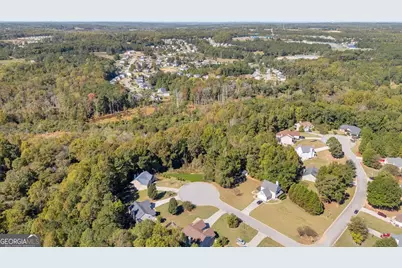 1195 Otis Drive, Bethlehem, GA 30620 - Photo 6