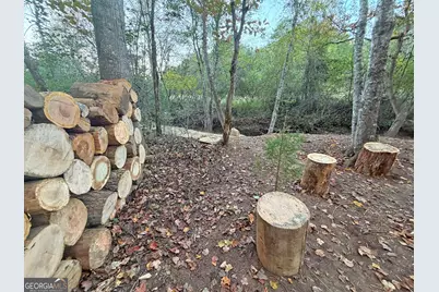 13D Rainey Valley Ln, Morganton, GA 30560 - Photo 28
