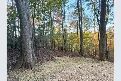 13D Rainey Valley Ln, Morganton, GA 30560 - Photo 6