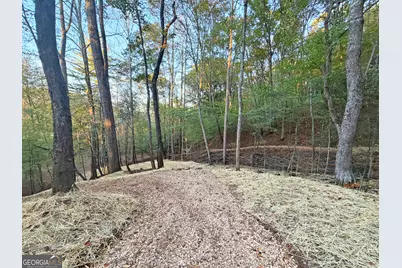 13Cd Rainey Valley Ln, Morganton, GA 30560 - Photo 52