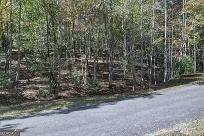 3 Ac Alicia Lane, Blairsville, GA 30512 - Photo 22