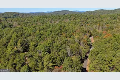 3 Ac Alicia Lane, Blairsville, GA 30512 - Photo 10