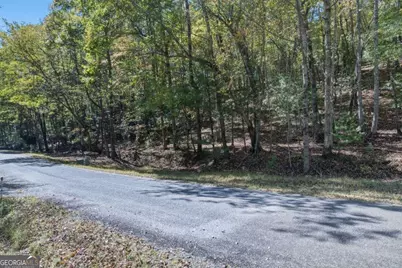 3 Ac Alicia Lane, Blairsville, GA 30512 - Photo 20