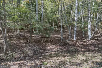 3 Ac Alicia Lane, Blairsville, GA 30512 - Photo 16