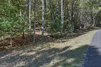 3 Ac Alicia Lane, Blairsville, GA 30512 - Photo 14