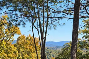 Lot B6 Bentwood Ln, Blue Ridge, GA 30513 - Photo 2