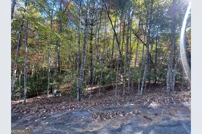 Lot 106 Red Maple Lane, Blairsville, GA 30512 - Photo 6