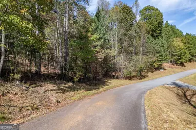 Lot 27 The Hills At Queens Gap, Blairsville, GA 30512 - Photo 4