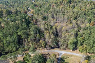 Lot 27 The Hills At Queens Gap, Blairsville, GA 30512 - Photo 8