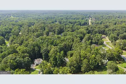 87 Tremont Street, Sharpsburg, GA 30277 - Photo 50