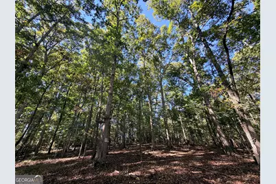 420 Moore Road, Rayle, GA 30660 - Photo 28