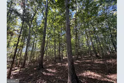 420 Moore Road, Rayle, GA 30660 - Photo 10