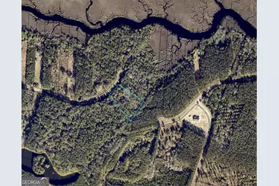 Lot 86 La Sole Lane, Waverly, GA 31565 - Photo 2