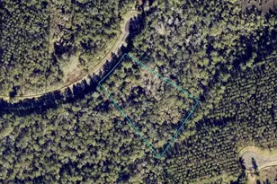 Lot 86 La Sole Ln, Waverly, GA 31565 - Photo 1