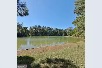 46 Silver Comet Trail, Sharpsburg, GA 30277 - Photo 48