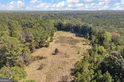0 Ham Fork Road, Union Point, GA 30669 - Photo 1