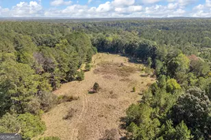 0 Ham Fork Rd, Union Point, GA 30669 - Photo 1