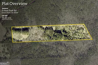 0 Ham Fork Road, Union Point, GA 30669 - Photo 4