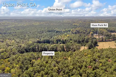 0 Ham Fork Road, Union Point, GA 30669 - Photo 8